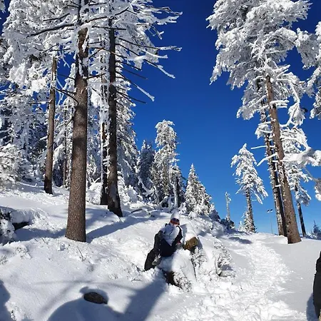 Daire Czarna Gora Apartament Stubai 5