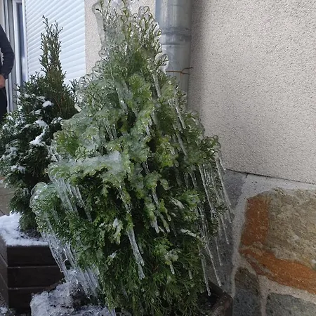 Czarna Gora Apartament Stubai 5 Daire Sienna (Klodzko)