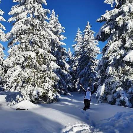 Czarna Gora Apartament Stubai 5 Daire Sienna (Klodzko)