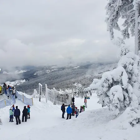 Czarna Gora Stubai 5 Sienna (Klodzko)