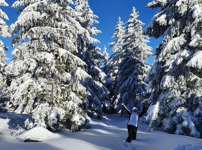 Czarna Gora Stubai 5 Apartment Heudorf